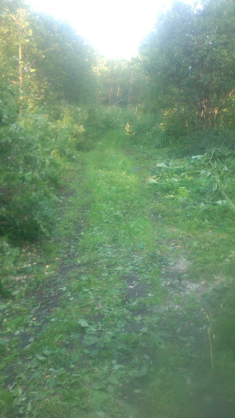 Приградов. Автоклуб шаман. Приградов. Военное детство это определение. Вездеходы оффроуд ютуб на больших колесах.