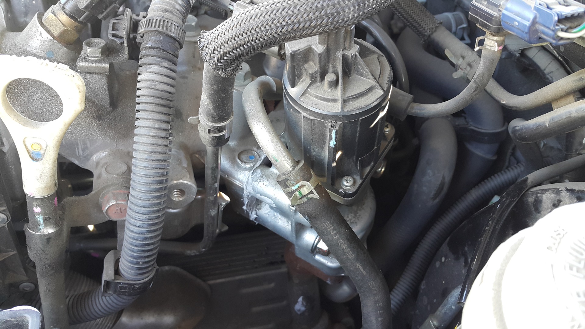 Обрезание Эльки. — Mitsubishi L200 (4G), 2,5 л, 2012 года | стайлинг ...