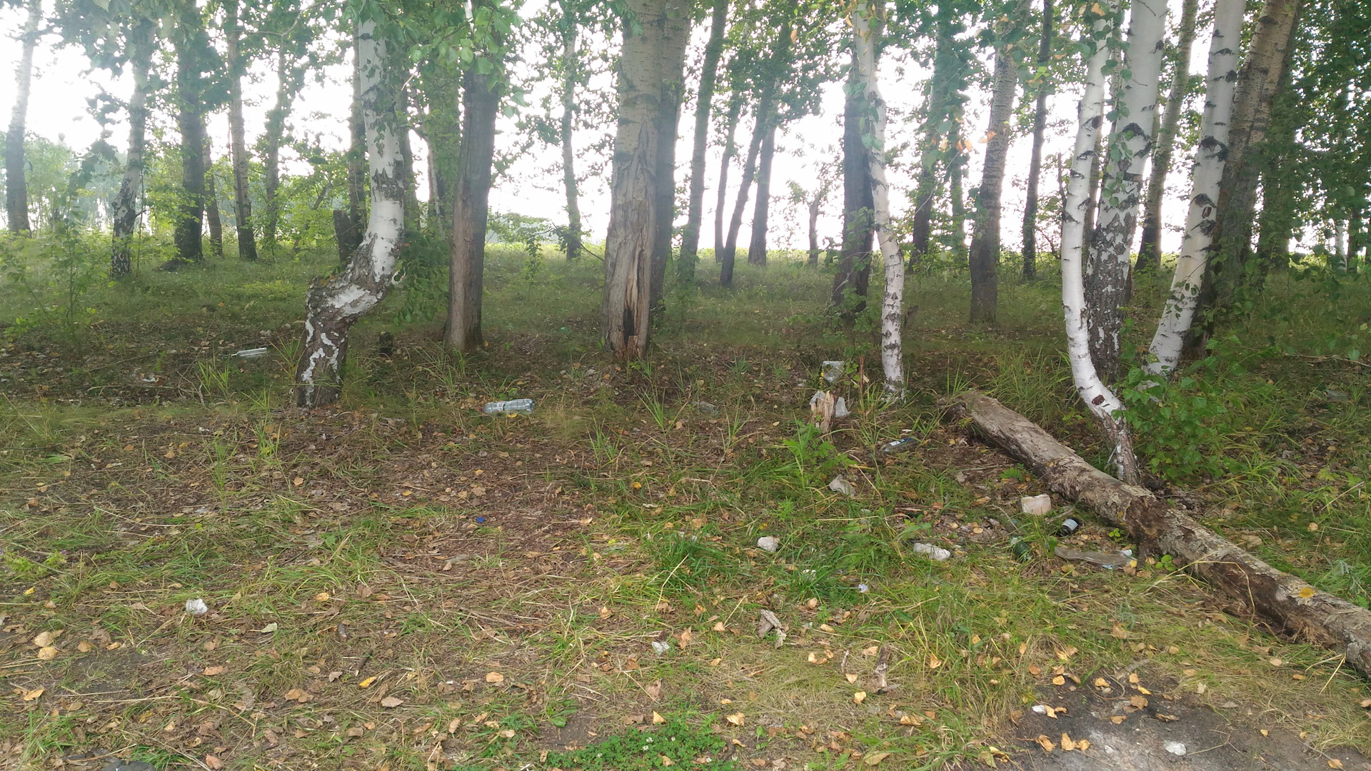 Черное наследие прячется в траве. — Lada Калина седан, 1,6 л, 2010 года ...