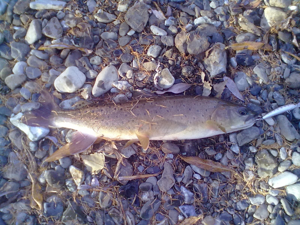 рыбалка на реке курица. Смотреть фото рыбалка на реке курица. Смотреть картинку рыбалка на реке курица. Картинка про рыбалка на реке курица. Фото рыбалка на реке курица рыбалка на реке курица. Смотреть фото рыбалка на реке курица. Смотреть картинку рыбалка на реке курица. Картинка про рыбалка на реке курица. Фото рыбалка на реке курица