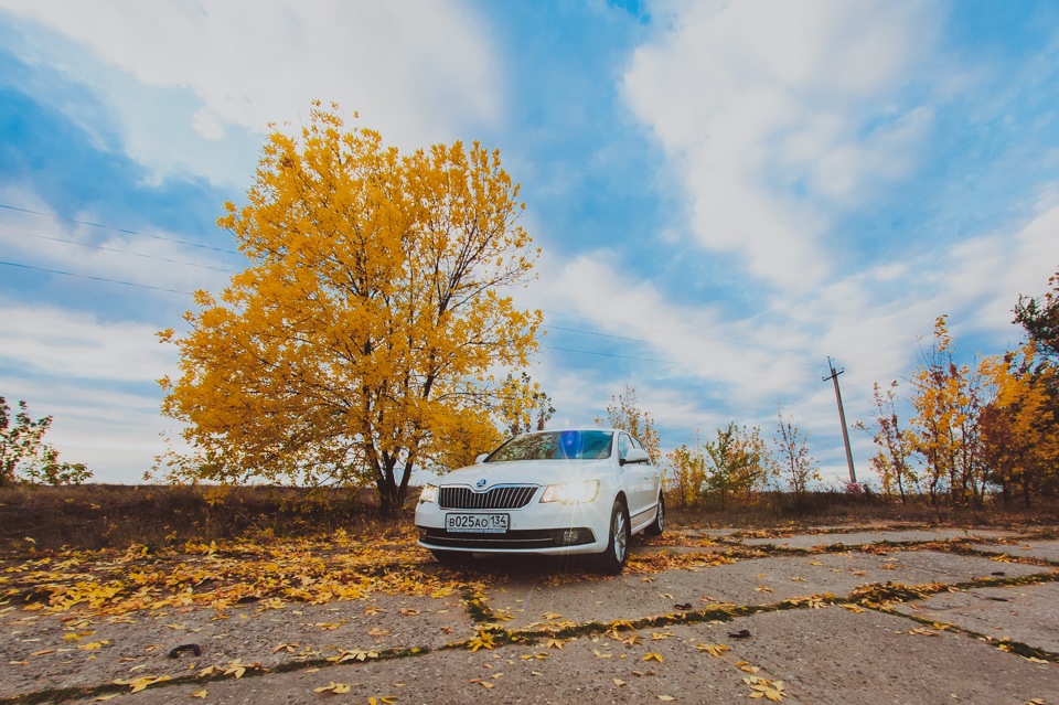 №9 Новые фотки ОСЕНЬ — Skoda Superb Mk2, 1,8 л, 2014 года | фотография ...
