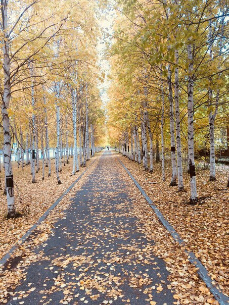 Осень в сургуте фото
