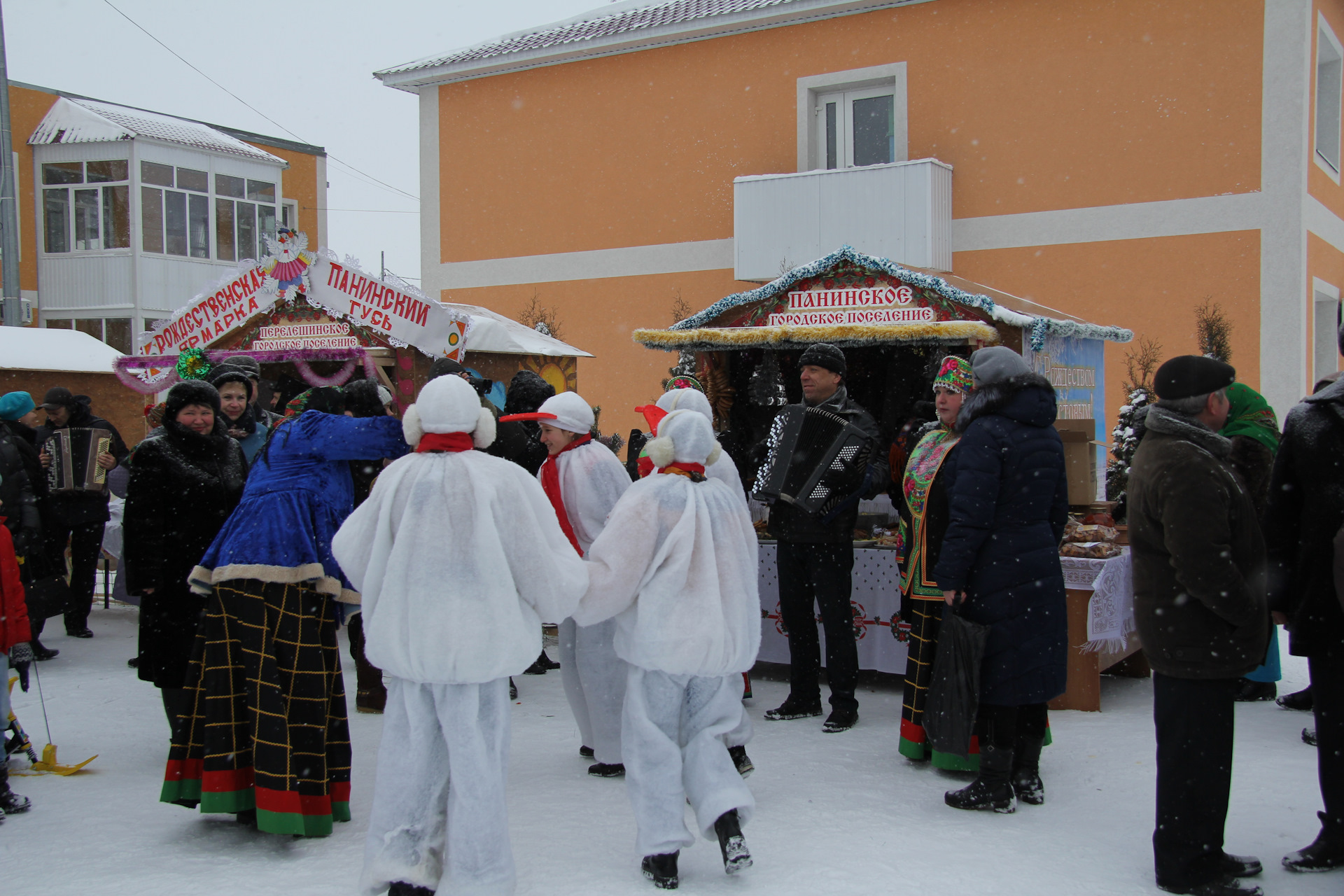 Панино воронежская область. Панинский Гусь. Погода Панино.