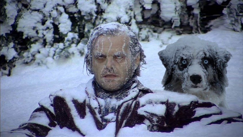 -20° как завести дизель? — Citroen C4 (1G), 1,6 л, 2005 года ...