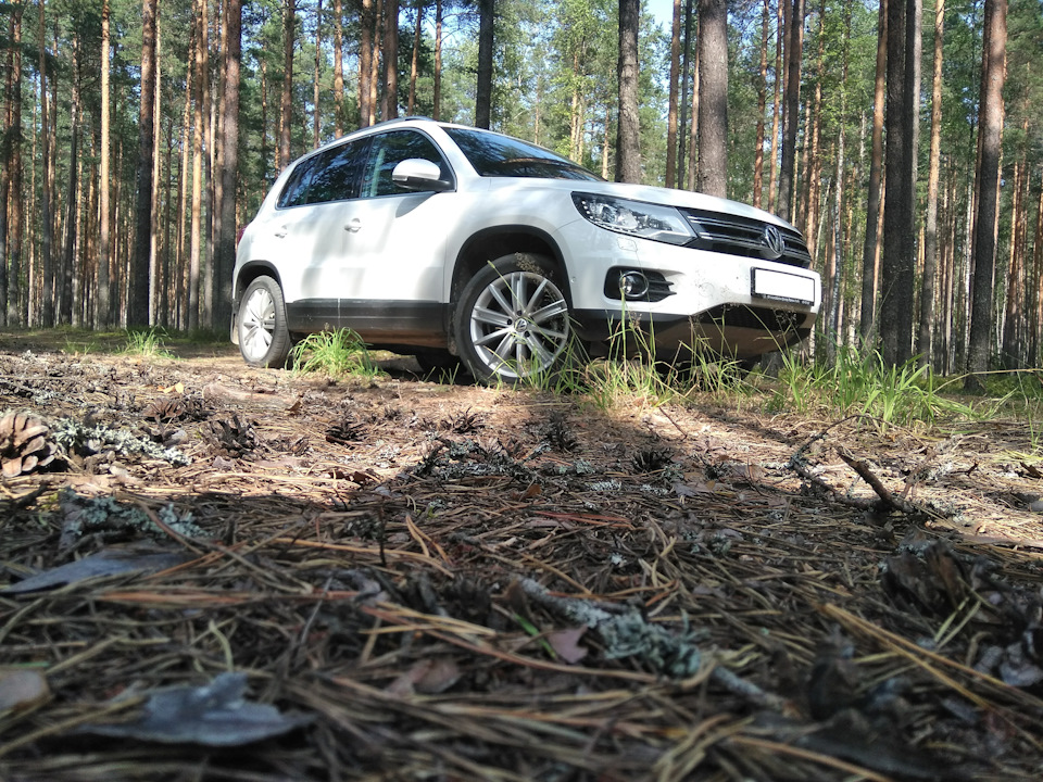 что такое технический код s92 volkswagen тигуан. 3af5435s 960. что такое технический код s92 volkswagen тигуан фото. что такое технический код s92 volkswagen тигуан-3af5435s 960. картинка что такое технический код s92 volkswagen тигуан. картинка 3af5435s 960. И снова приветствую вас, дорогие друзья! Давно уже была закладка на пост AlexKohl о расшифровке кодов опций Volkswagen. Для истории решил расшифровать магические циферки указанные в моей сервисной книжке. Более полный перечень кодов нашел здесь. А также воспользовался сервисом по расшифровке VIN на различных сайтах.