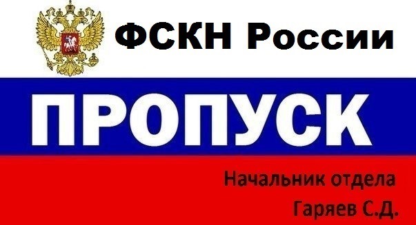 Пропуск на автомобиль. Отдел по борьбе с усатыми тëлками. Наклейка на пропуск. Пропуск на лобовое отдел по борьбе с.