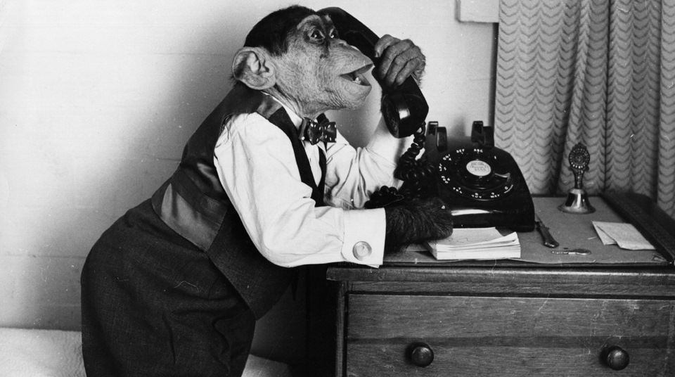 ������������, ���������� �������� ���������� ��������