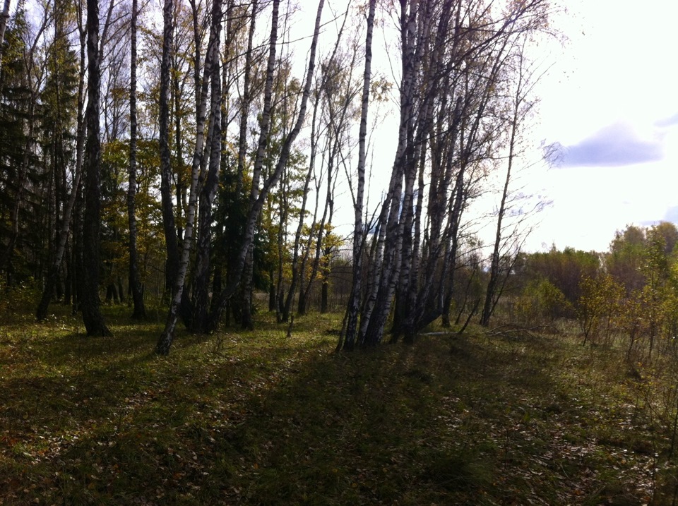 Настроение Осень, Я Закрываю Глаза И Прибавляю Громкость… — Drive2