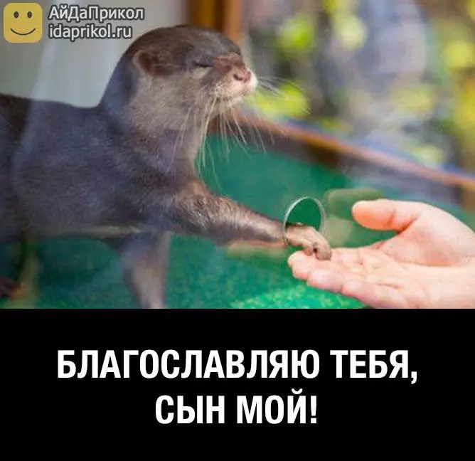 том, айда приколы смотреть картинки вокруг брака, рождения