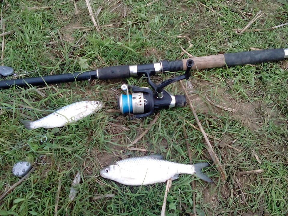 Поездка на рыбалку в Астрахань. Часть 2-я. — KIA Rio (3G), 1,6 л, 2012 ...