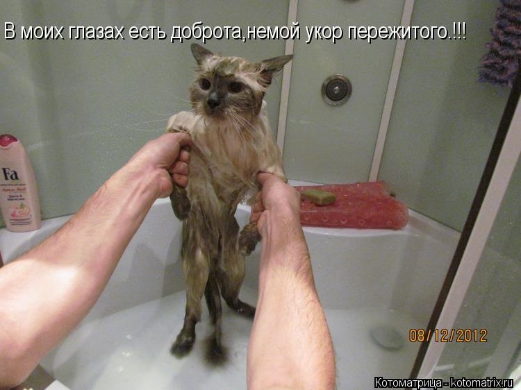 Как Выглядит Дурында