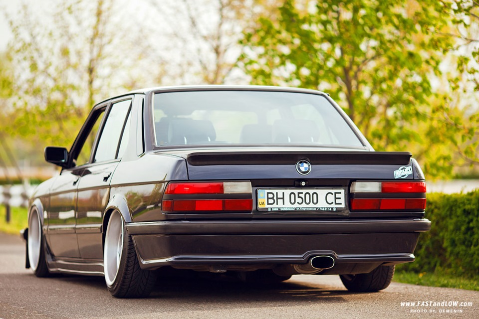 BMW e28 Shark