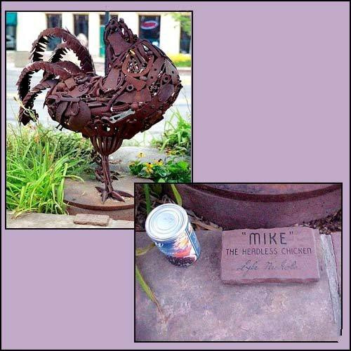 Курица жила без головы. Безголовый цыпленок Майк. Петух прожил без головы 1.5 года. Петух Майк памятник.