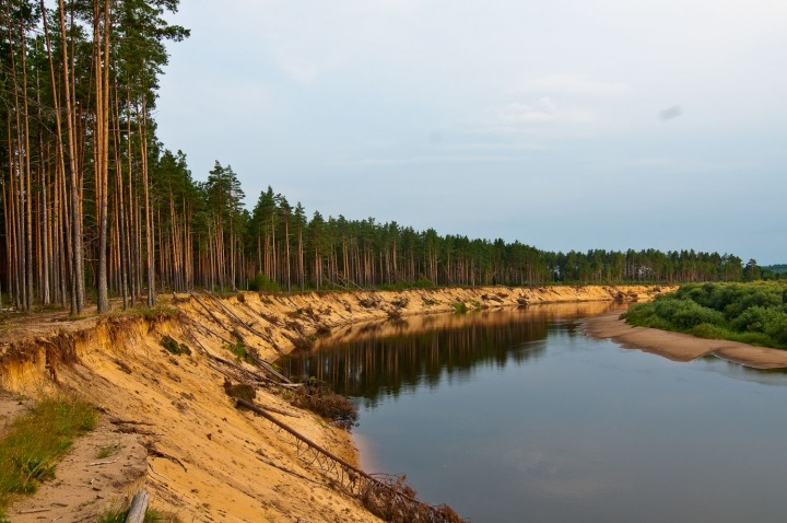 Река молога фото