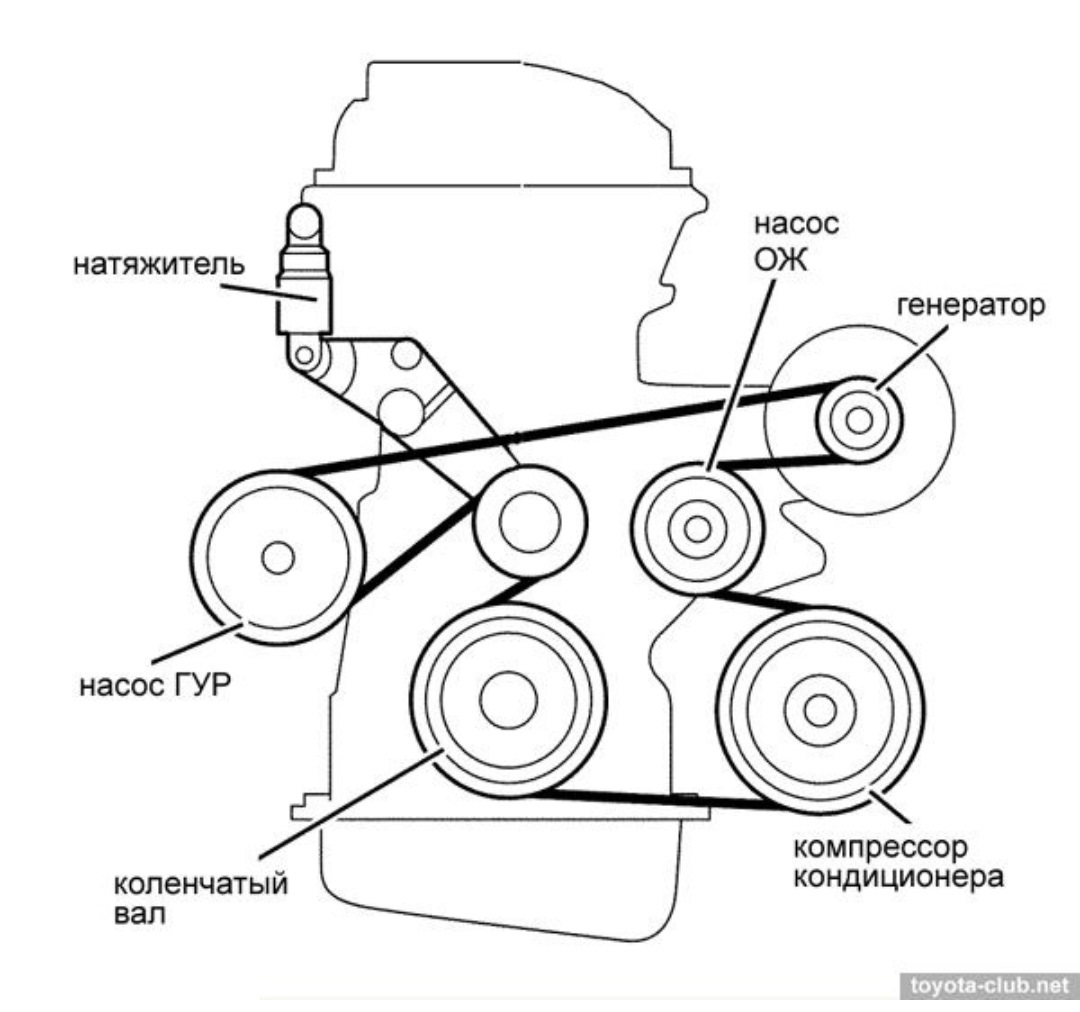 Тойота пассо схема ремня генератора