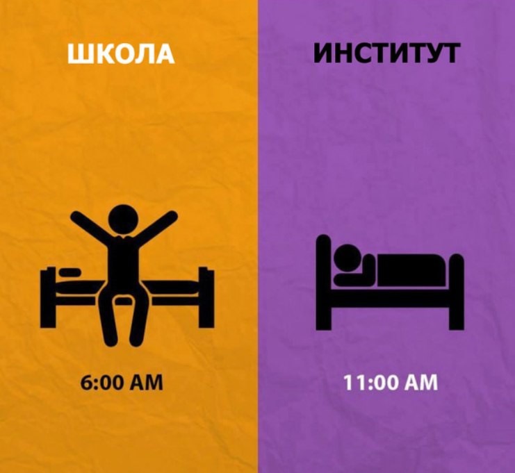 Сравнение школы и работы