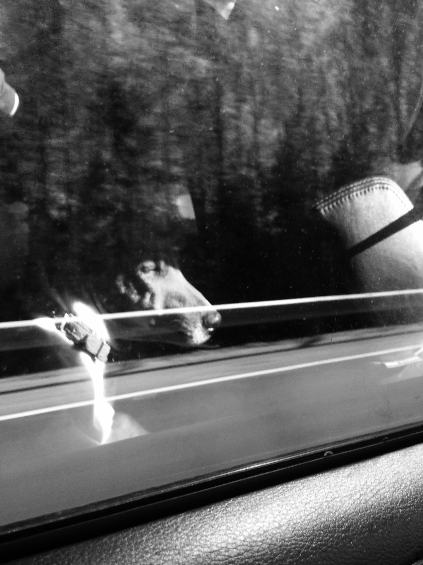 Путешествие по Ленобласть?????? — DRIVE2