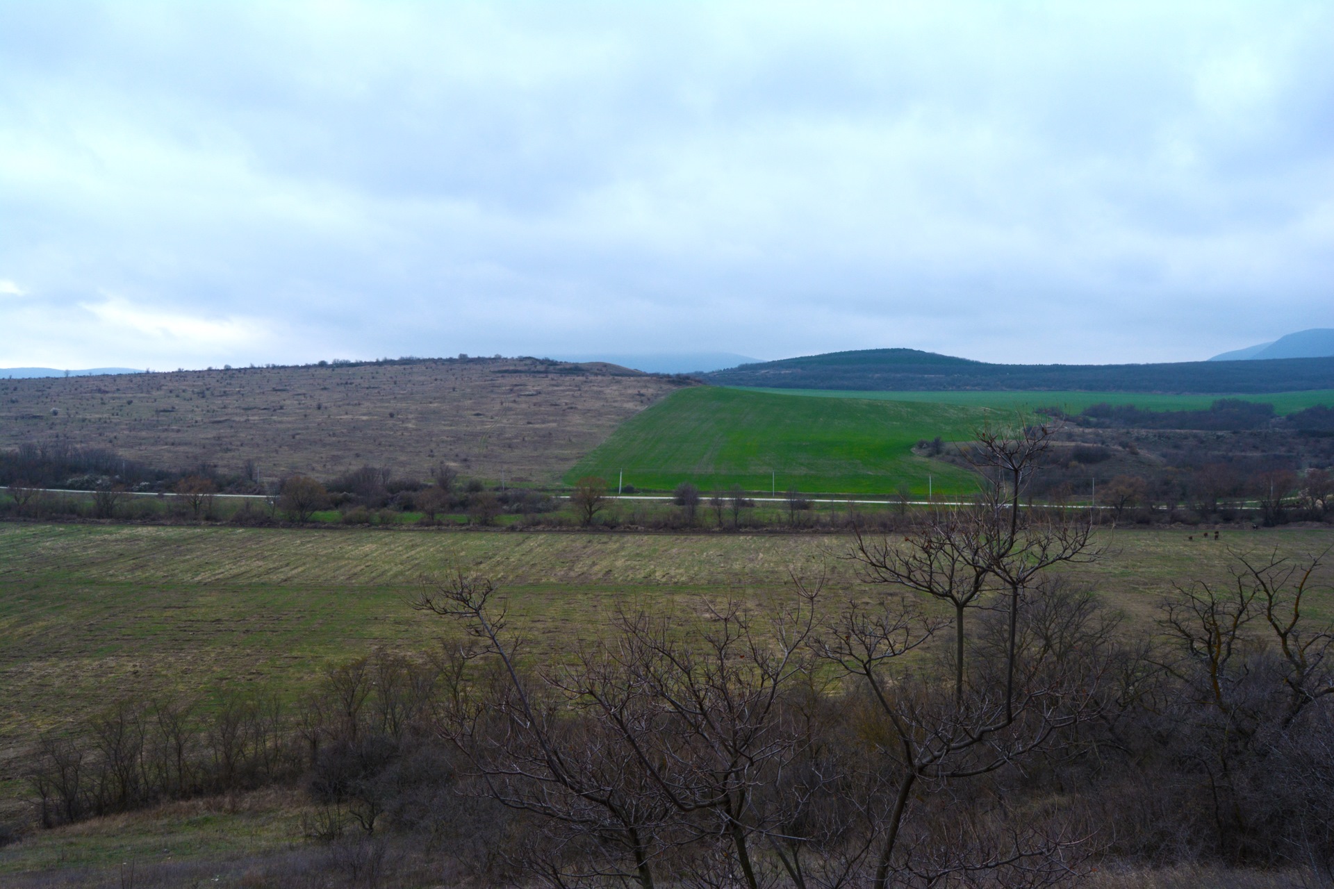 Село курское