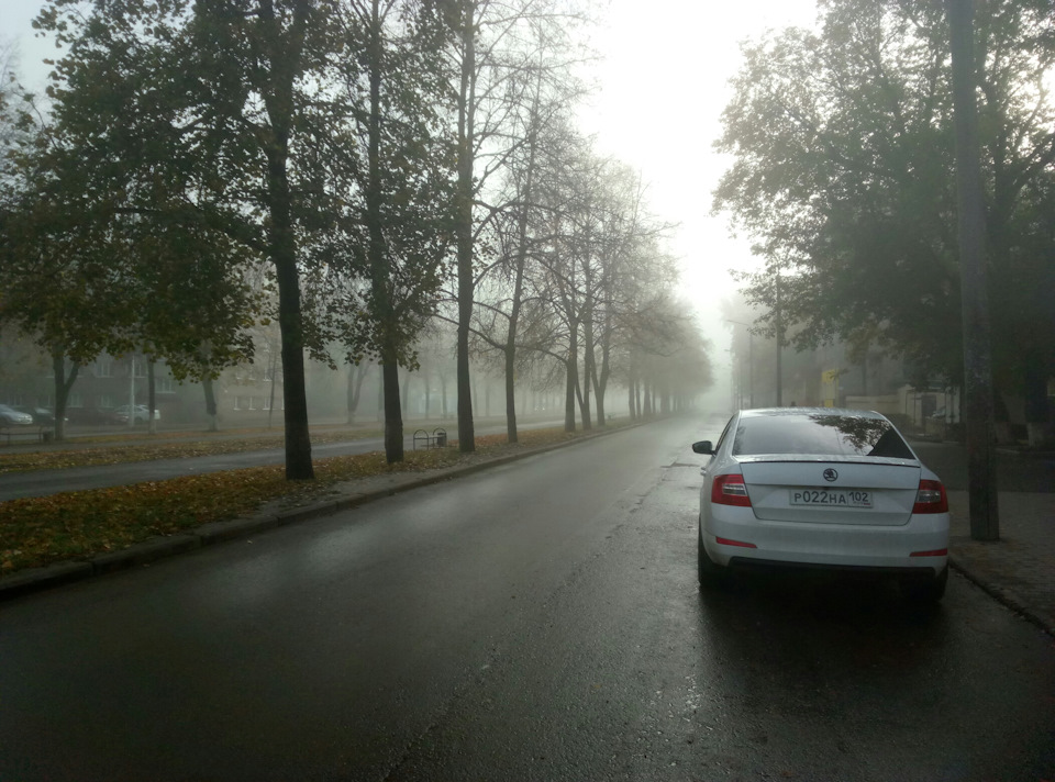 Фото в бортжурнале Skoda Octavia A7 Mk3