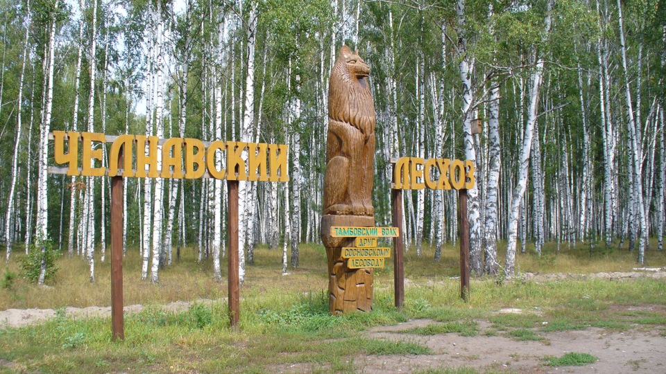 Тамбовский Волк Фото Картинки