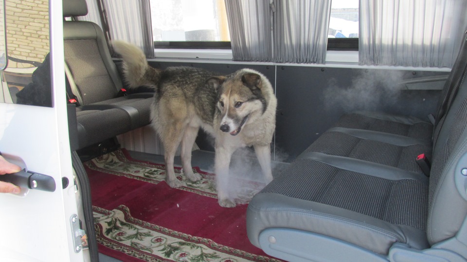 Фото в бортжурнале УАЗ 39095