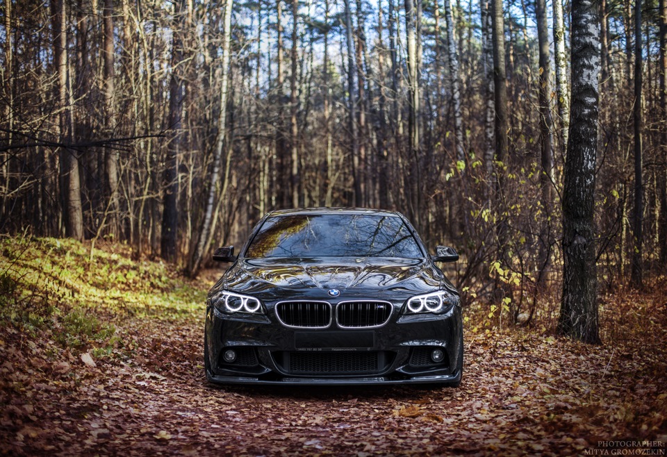 BMW f82 машина в лесу