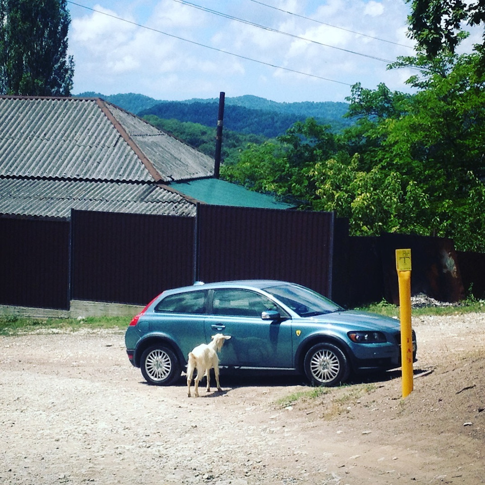 Фото в бортжурнале Volvo C30