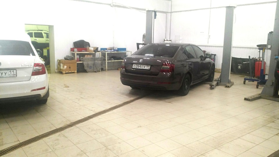 Фото в бортжурнале Skoda Octavia A7 Mk3