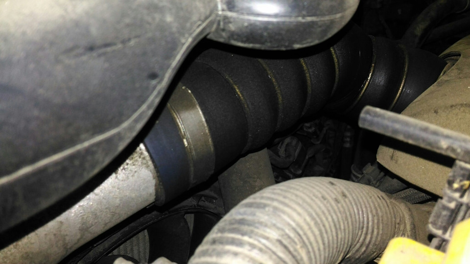 Обнаружено масляное запотевание на патрубке. Похоже, что хомут ослаб. Или я ошибаюсь? — Renault Koleos (1G)