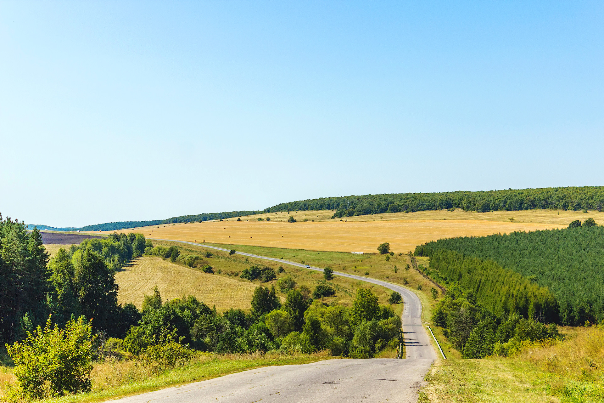 Село сторона. С.лох Новобурасский район. С.лох Новобурасский район Саратовской области. Село Лохово Саратовская область. Саратов село лох озеро.