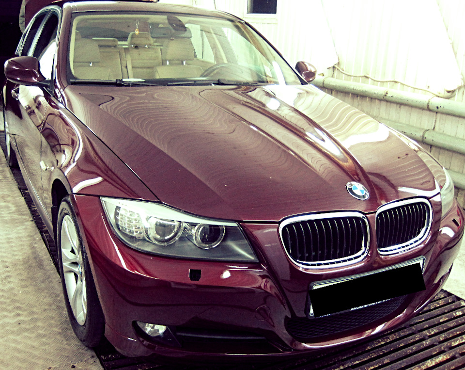 🏁BMW 3 Series | Легкая полировка | Воск карнаубы | 🎁в подарок: Чернение ...