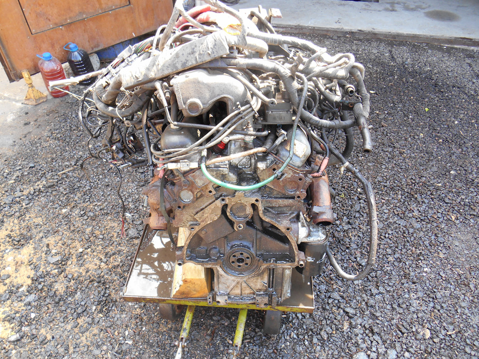 Фото в бортжурнале Ford Bronco (2G)