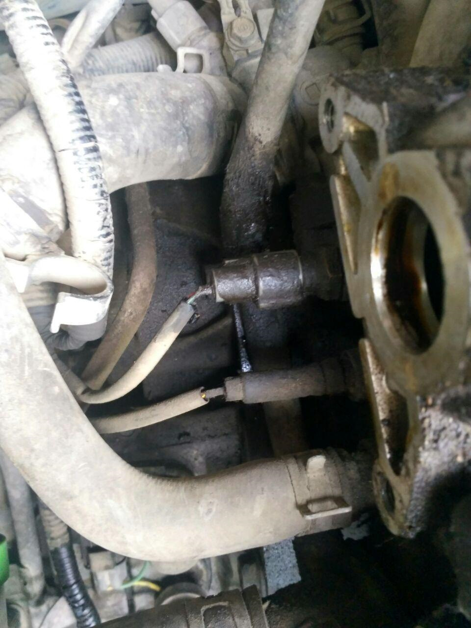 Пар из под капота, маслотечь, трамблеропечаль — Honda S-MX, 2 л, 2001 ...