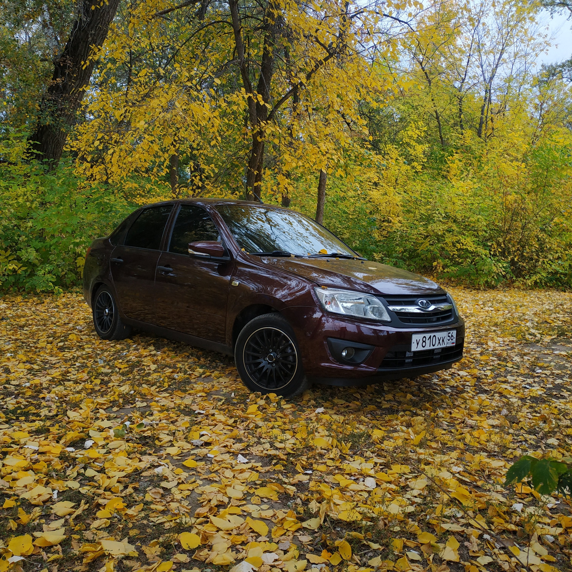 Granta cross 2022. Гранты осень 2024. Гранты осень 2024. Гранта портвейн на дисках. Гранта кросс 2021.