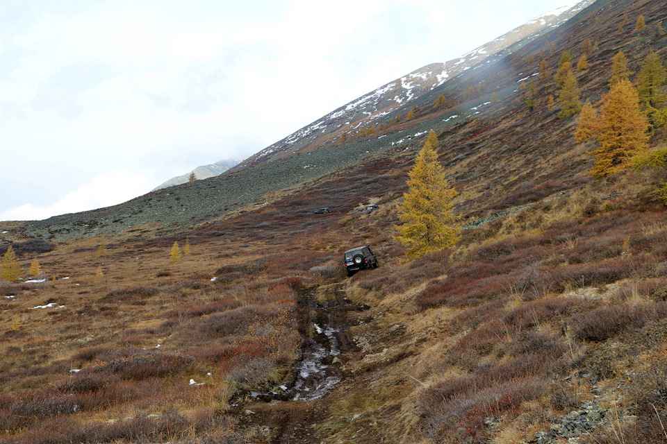 Полевая дорога все выше и выше уводит нас — Toyota Land Cruiser 80