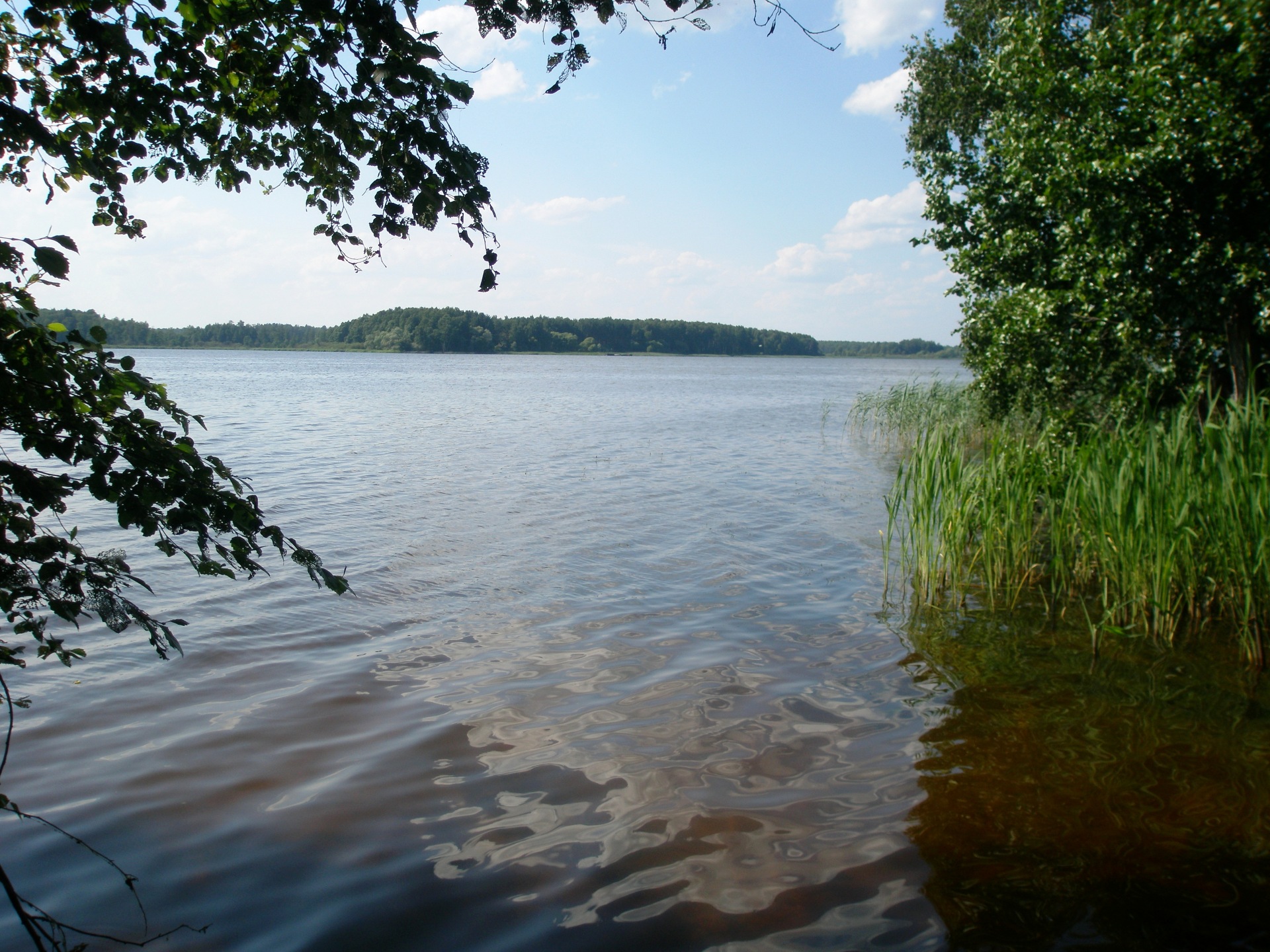 Московское море рыбалка