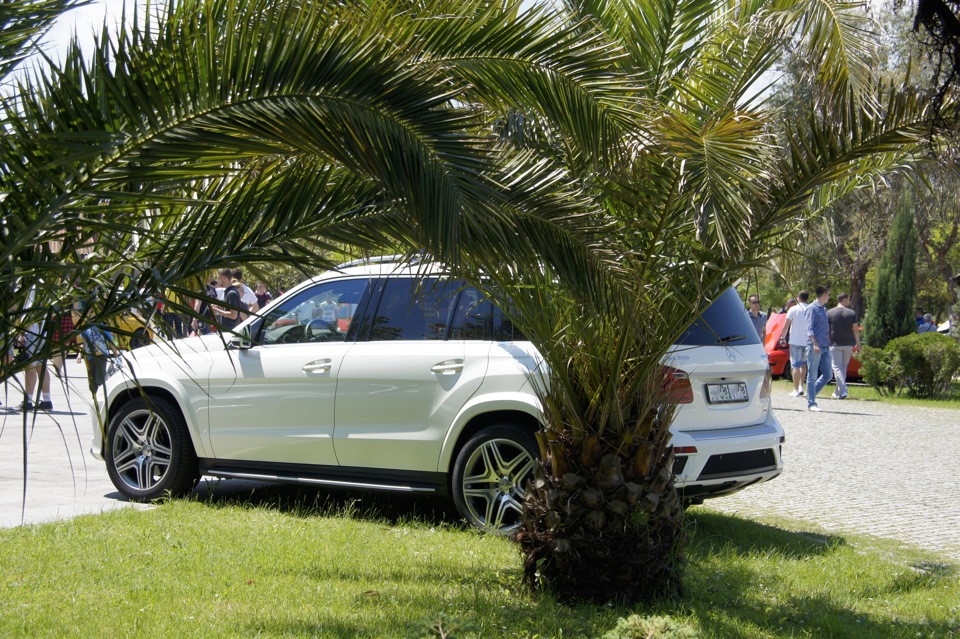 Фото в бортжурнале Mercedes-Benz GL-Class (X166)