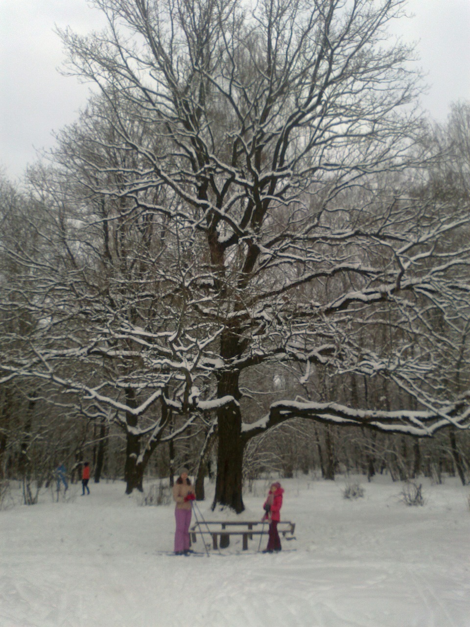 Едем на Дастере в лес кататься на лыжах — Renault Duster (1G), 2 л ...