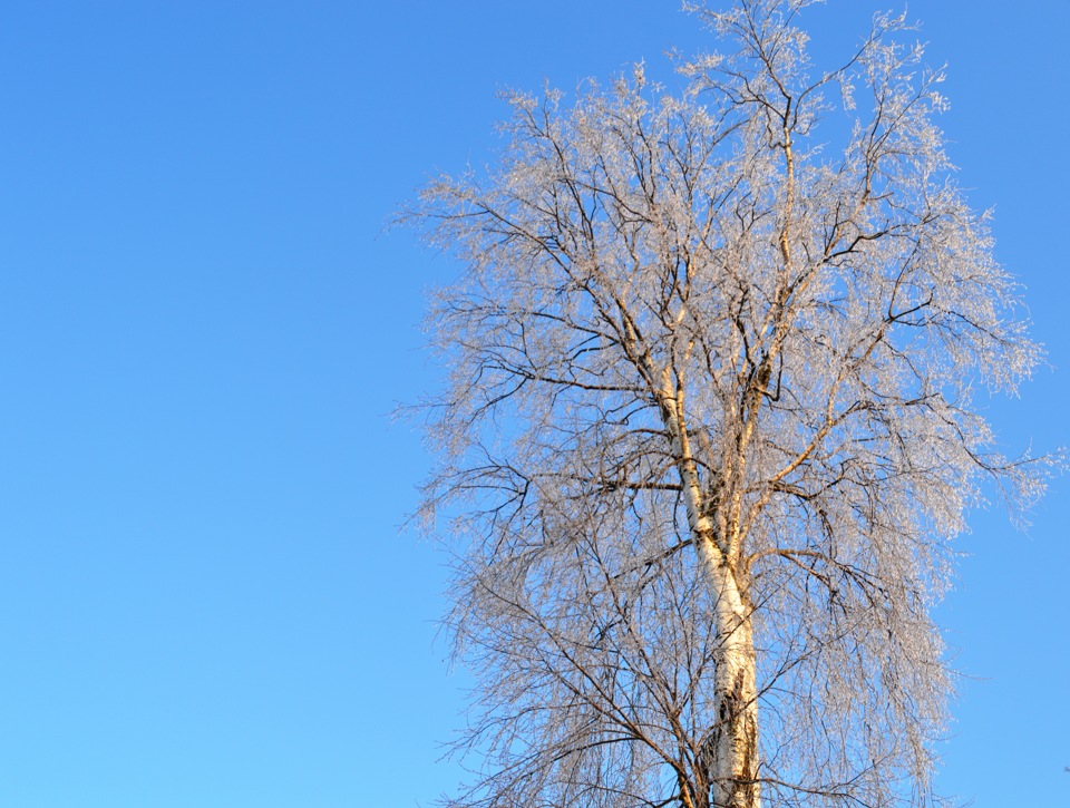 Мороз и солнце … — Toyota Land Cruiser Prado 120-series, 4 л, 2008 года ...