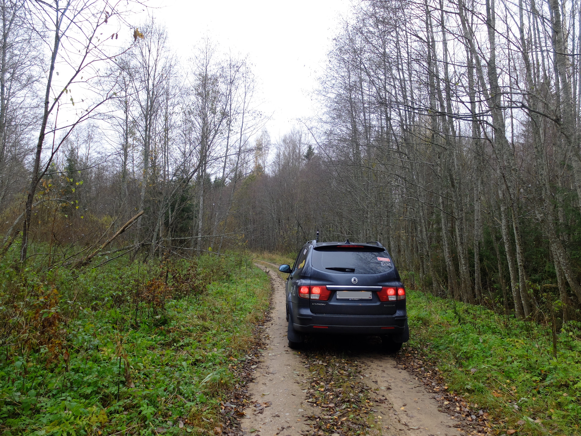 ЦЛГПБЗ — болото Старосельский Мох. Часть 1. — SsangYong Kyron, 2 л, 2010  года | покатушки | DRIVE2