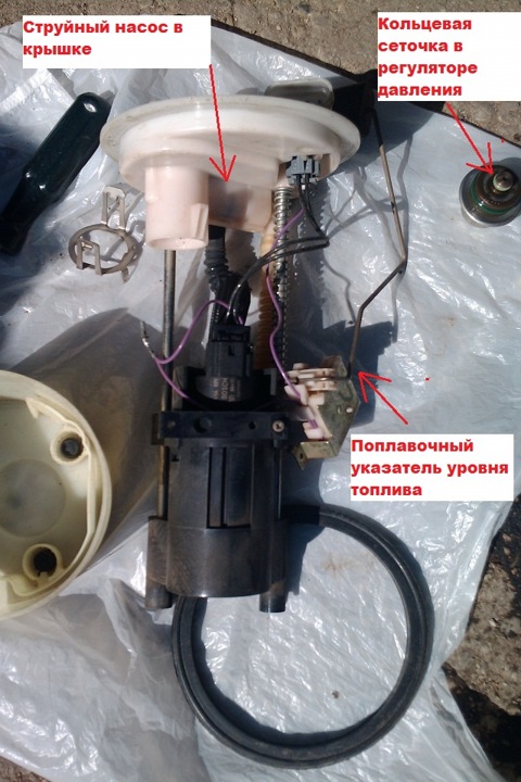 Секс фото Настя Каменских, Порно фейки, Голая Настя Каменских, Порно