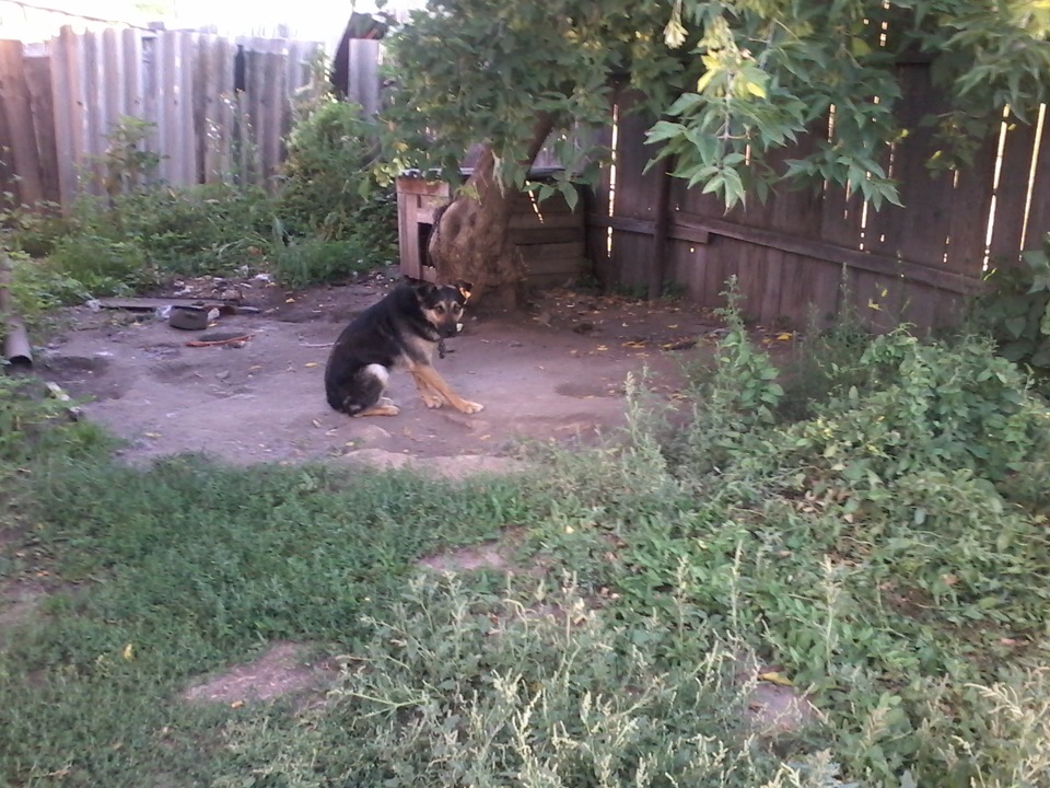 В гостях. ( В тесноте да не в обиде). — Ford Focus II Sedan, 1,8 л ...