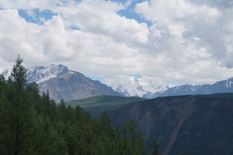 Фото в бортжурнале УАЗ Pickup