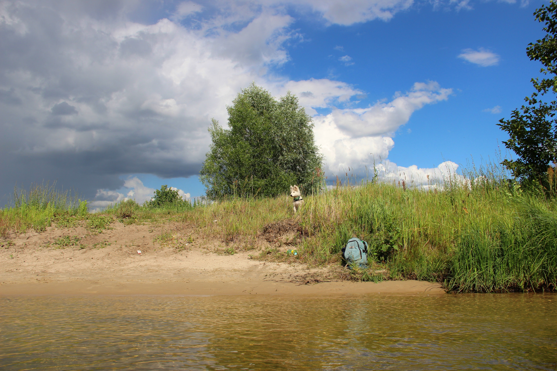 Вода в реке воронеж сегодня. Большие Ясырки. Прогулки по реке Воронеж. Где в Ясырках можно найти пляж.