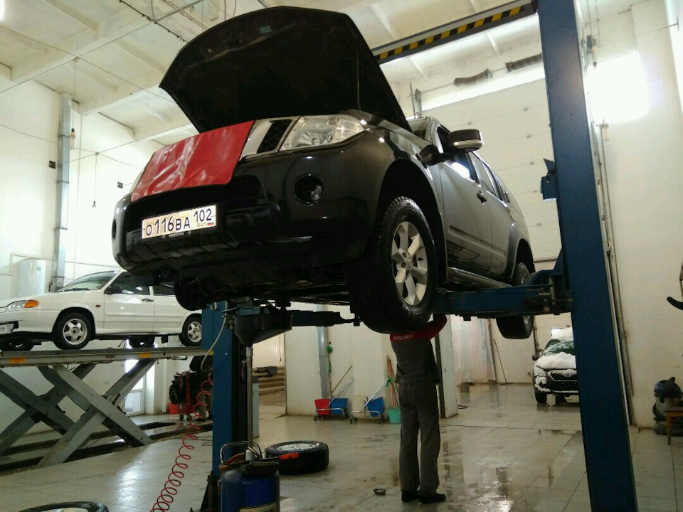 Замена масла в двигателе и АКПП. — Nissan Pathfinder (3G), 2,5 л, 2012 ...