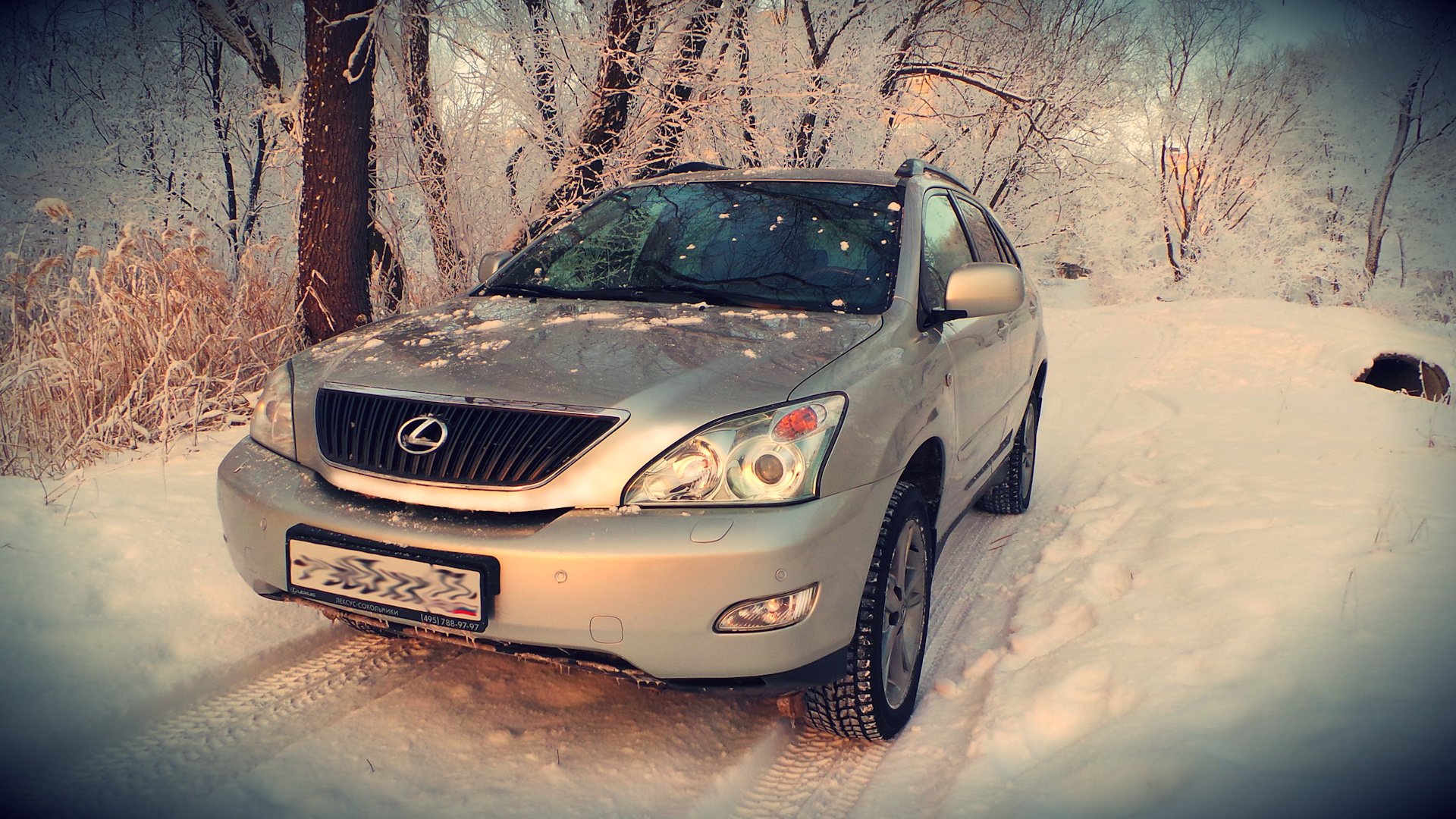 Lexus RX (2G) 3.0 бензиновый 2006 | на DRIVE2