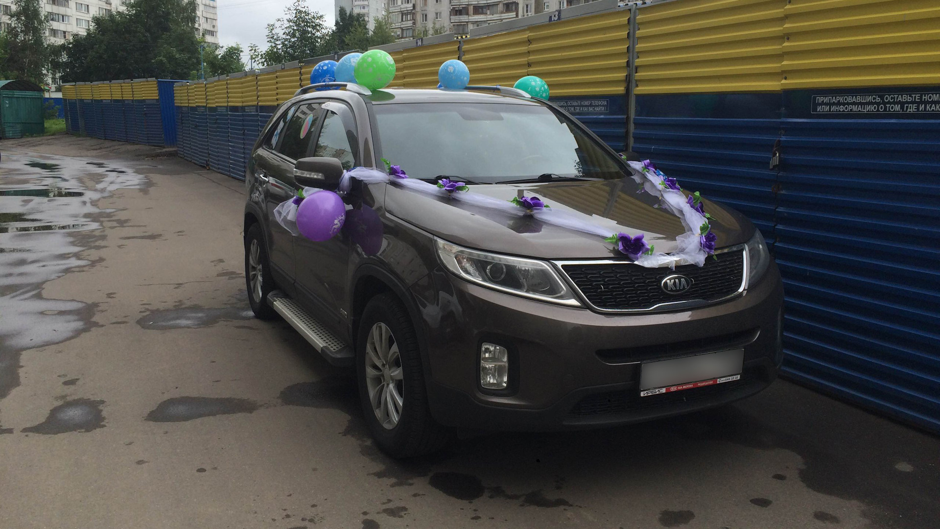 KIA Sorento (2G) 2.4 бензиновый 2013 | XM FL Сара на DRIVE2