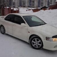 масло молли грин — DRIVE2