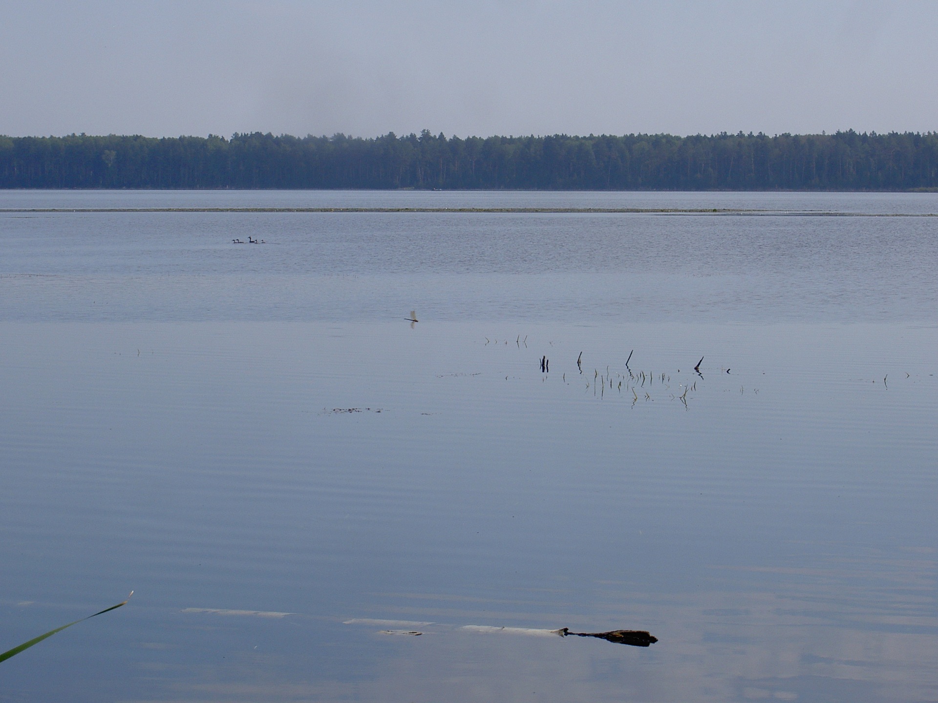 щучье озеро ленинградская область