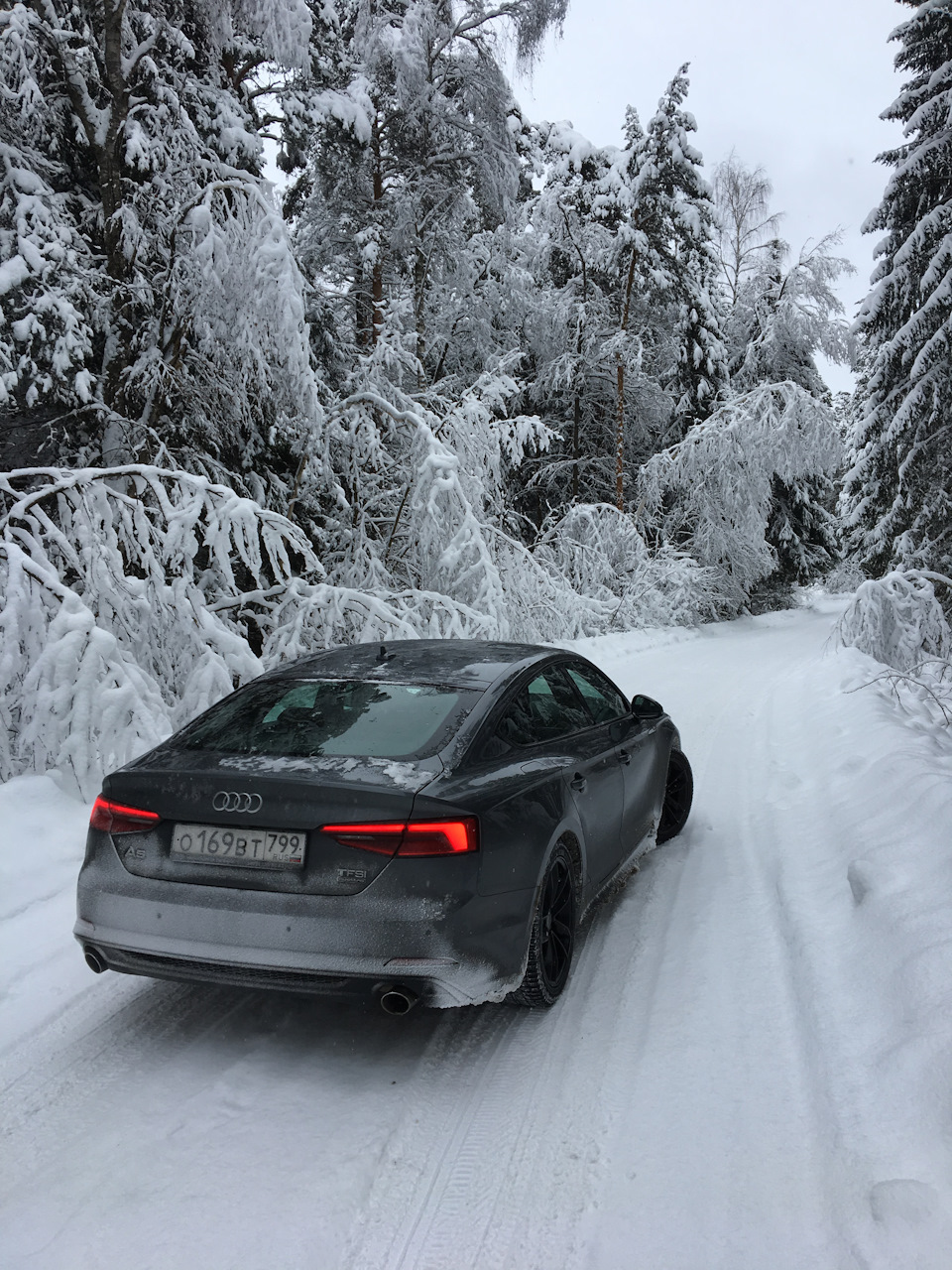 Audi a5 Sportback зима